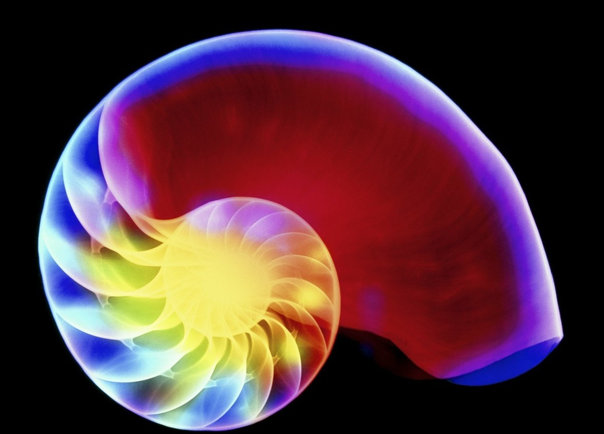 Shell脚本编程第一课 构成程序的7个基本元素 闲聊灌水 Emacs China