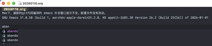 截屏2026-01-10 17.11.14