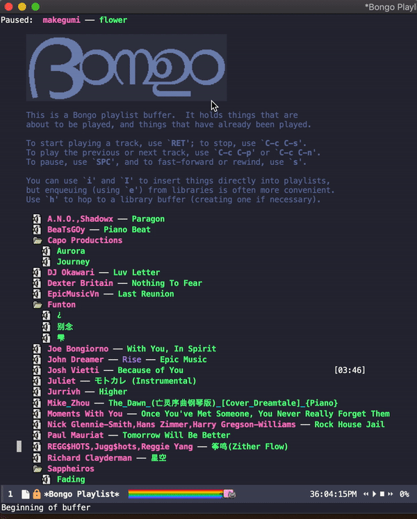 bongo2