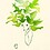 yuchen-lea